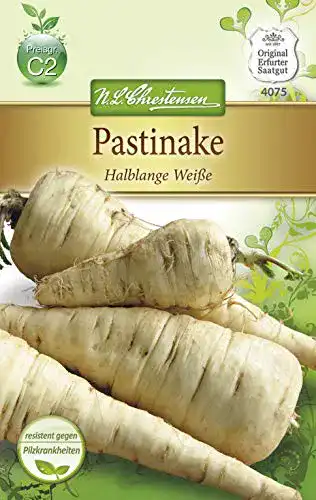 Pastinakensamen Chrestensen Pastinaken Halblange Weiße