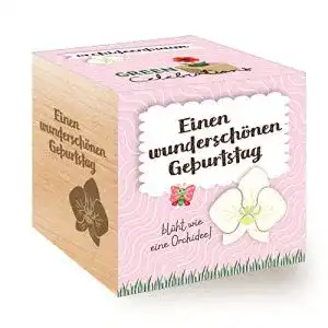 Ecocube Feel Green 296572 Celebrations , Orchideenbaum, Holzwürfel