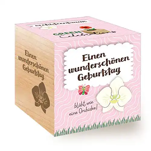 Ecocube Feel Green 296572 Celebrations , Orchideenbaum, Holzwürfel