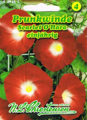 Prunkwinde-Samen Chrestensen Prunkwinde ‘Scarlet O` Hara’