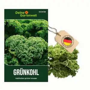 Grünkohl-Samen Deine Gartenwelt Halbhoher grün kraus