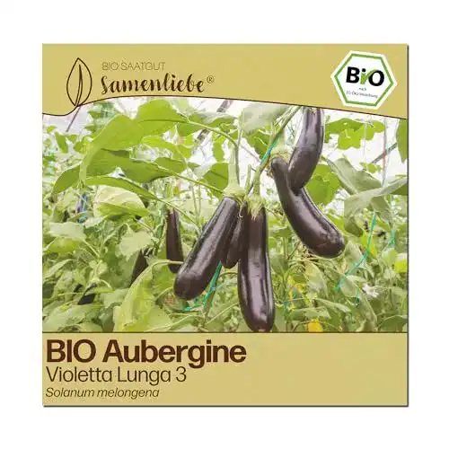 Auberginen-Samen Samenliebe BIO alte Sorte Violetta Lunga 3