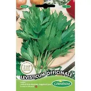 Liebstöckel-Samen Germisem Liebstöckl