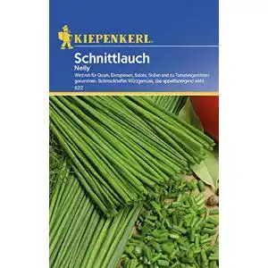 Schnittlauch-Samen Kiepenkerl Schnittlauch Nelly feinröhrig