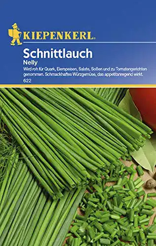Schnittlauch-Samen Kiepenkerl Schnittlauch Nelly feinröhrig
