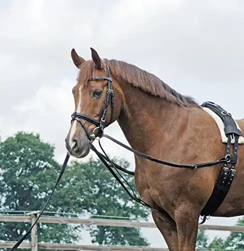 Die beste Zügel Busse Dreiecks BASIC, schwarz/NP, Pony 2026 Test Bestseller Zügel Busse Dreiecks BASIC, schwarz/NP, Pony