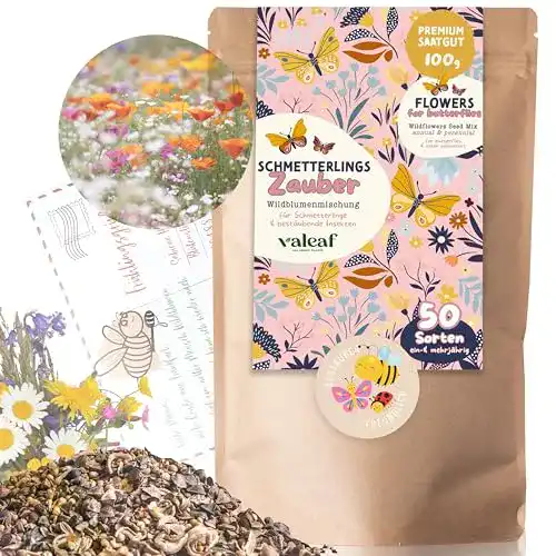 Blumenwiese-Samen valeaf Schmetterlingswiese I 100 g für 100 m²