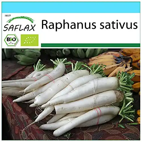 Daikon-Rettich Saflax – Geschenk Set – BIO – Rettich