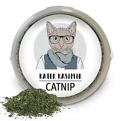 Catnip Kater Kasimir Katzenminze Macht Deine Katze froh!
