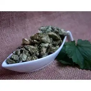 Hopfenblüten Naturix24 ganz, 100g Beutel