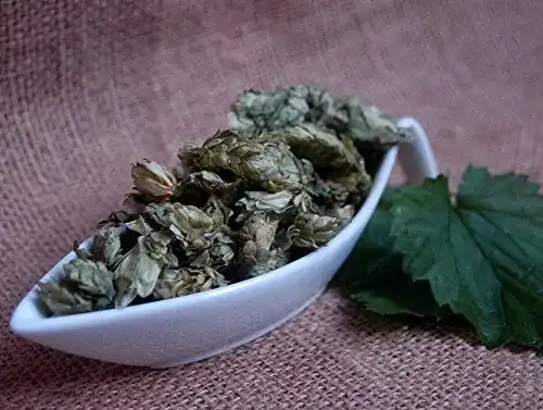 Hopfenblüten Naturix24 ganz, 100g Beutel