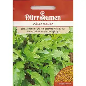Rucola-Samen Dürr-Samen Rucola Wilde Raucke ca. 3000 Korn