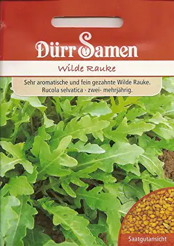 Rucola-Samen Dürr-Samen Rucola Wilde Raucke ca. 3000 Korn