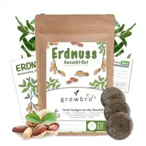 Erdnuss-Samen growbro Kids Erdnuss Anzuchtset