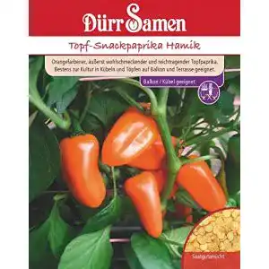 Paprika-Samen Dürr-Samen Dürr Samen 4278 Topf-Snackpaprika