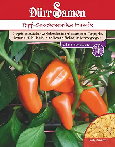 Paprika-Samen Dürr-Samen Dürr Samen 4278 Topf-Snackpaprika