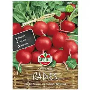 Radieschen-Samen Sperli Premium Radieschen Samen Cherry Belle