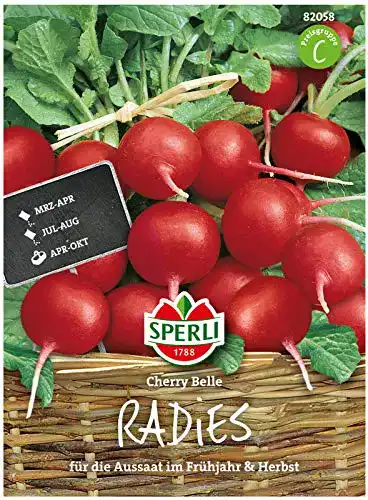 Radieschen-Samen Sperli Premium Radieschen Samen Cherry Belle