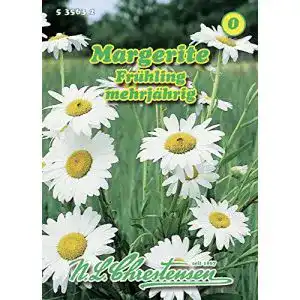 Margeritensamen N.L.Chrestensen Margerite Frühling weiß