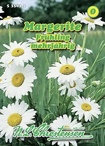 Chrysanthemen-Samen Chrestensen Margerite Frühling weiß