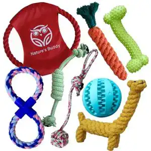 Robustes-Hundespielzeug Buddy Wild mit integriertem Leckerli
