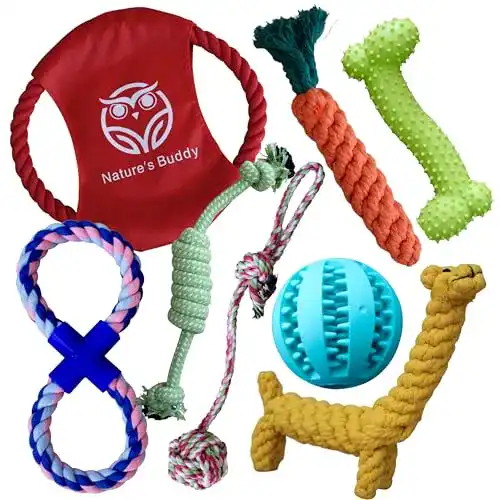 Robustes-Hundespielzeug Buddy Wild mit integriertem Leckerli