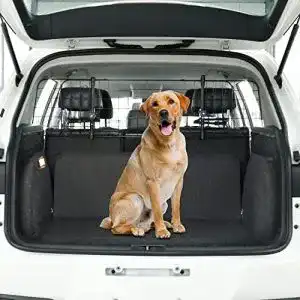 Auto-Hundegitter Toozey Kofferraum Hundegitter für Auto, SUV