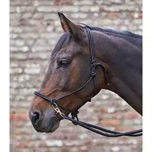 Knotenhalfter WALDHAUSEN mit Zügel Warmblut, schwarz
