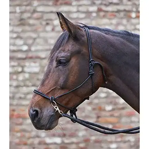 Zügel WALDHAUSEN Knotenhalfter mit Pony, schwarz