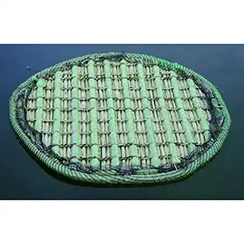 Pflanzinsel-Teich AquaForte schwimmende Pflanzinsel 81cm rund