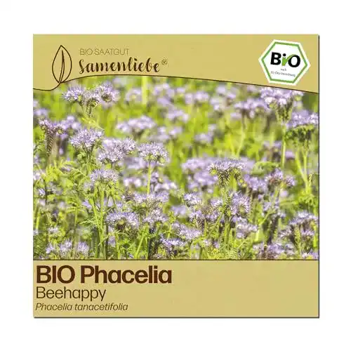 Phacelia-Samen Samenliebe BIO Phacelia Samen Beehappy