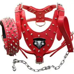 Hundegeschirr Leder haoyueer Hundegeschirr, Leder, mit Nieten