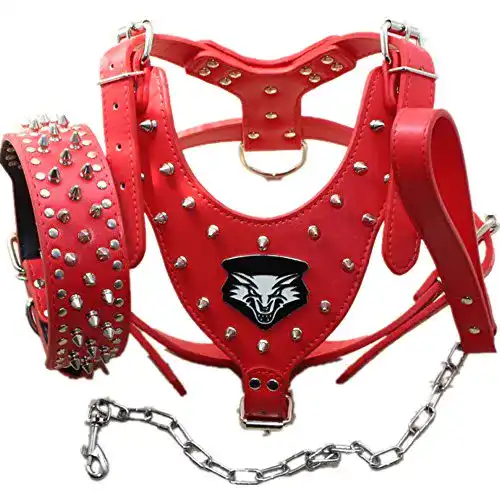 Hundegeschirr Leder haoyueer Hundegeschirr, Leder, mit Nieten