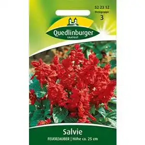 Feuersalbei Vertriebsgesellschaft Quedlinburger Saatgut mbH