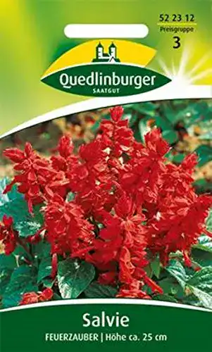 Feuersalbei Vertriebsgesellschaft Quedlinburger Saatgut mbH