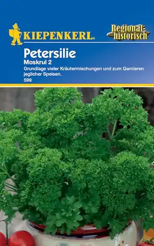 Petersiliensamen Kiepenkerl Petersilie Mooskrause 2