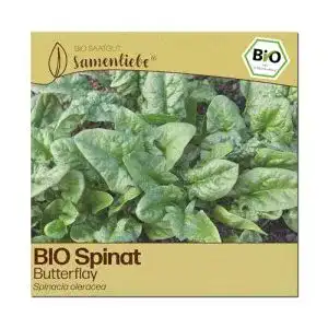 Spinat-Samen Samenliebe BIO Spinat Samen alte Sorte Butterflay