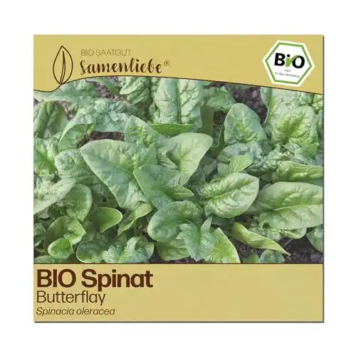 Spinat-Samen Samenliebe BIO Spinat Samen alte Sorte Butterflay