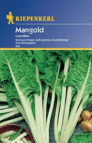 Mangold-Samen Sperli 354 Gemüsesamen Mangold Lucullus