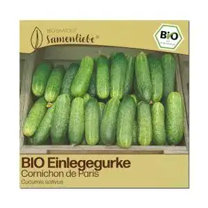 Gurken-Samen Samenliebe BIO Einlegegurken Samen alte Sorte