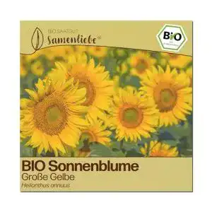 Sonnenblumen-Samen Samenliebe, 100 Samen, BIO