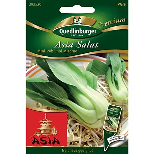 Pak-Choi-Samen Quedlinburger Pak Choi, Mini Misome