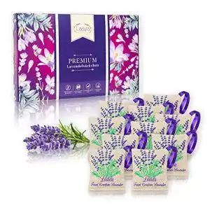 Kleiderschrank-Duft LADULA 10x Lavendelsäckchen mit Lavendelblüten
