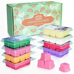 Duftwachs LA BELLEFÉE Wax Melts 48 Würfel