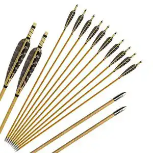 Holzpfeile Huntingdoor 12er mit 5″ Naturfedern 31 Zoll Pfeile