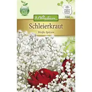 Schleierkraut-Samen Chrestensen Schleierkraut ‘Weiße Spitzen’
