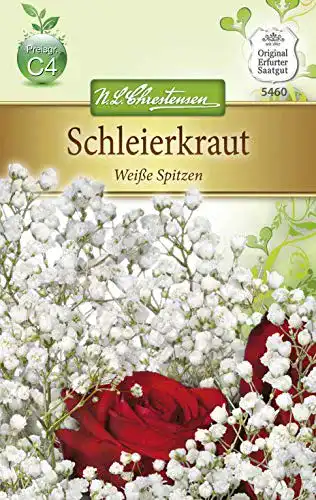 Schleierkraut-Samen Chrestensen Schleierkraut ‘Weiße Spitzen’