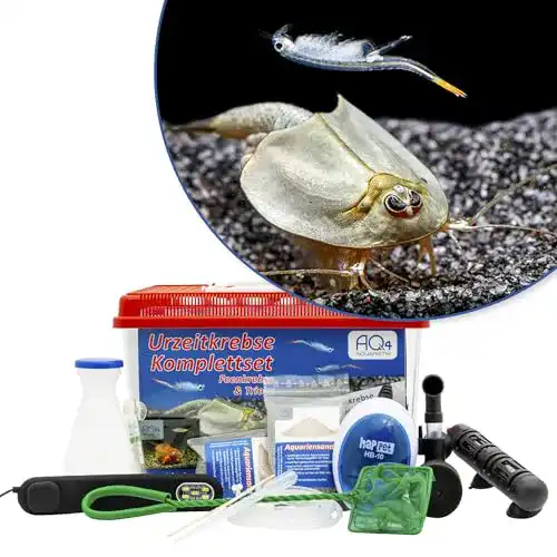 Urzeitkrebse AQ4Aquaristik Premium Komplettset: 6 Liter