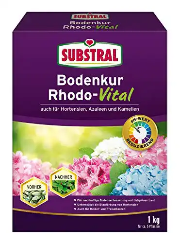 Rhododendron-Dünger Substral Bodenkur Rhodo-Vital – 1 kg