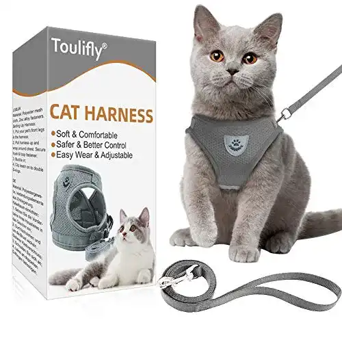 Die beste Katzengeschirr Kitten Toulifly Katzengeschirr für kleine Katzen 2026 Test Bestseller Katzengeschirr Kitten Toulifly Katzengeschirr für kleine Katzen